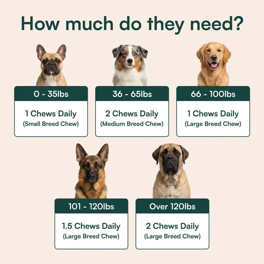 Keep Them Running, Playing & By Your Side 🐶❤️ Daily hip & joint support for the dog you treat like family