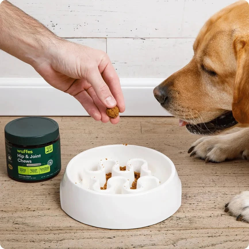 Keep Them Running, Playing & By Your Side 🐶❤️ Daily hip & joint support for the dog you treat like family