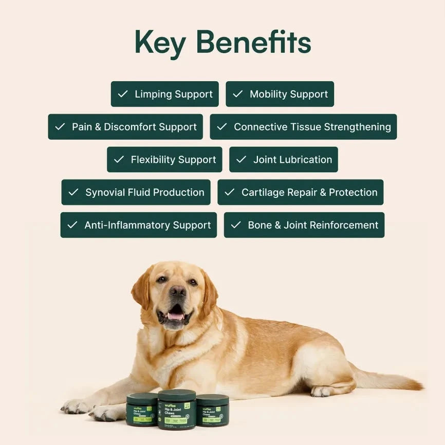 Keep Them Running, Playing & By Your Side 🐶❤️ Daily hip & joint support for the dog you treat like family